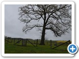 Saunders Cemetery_004